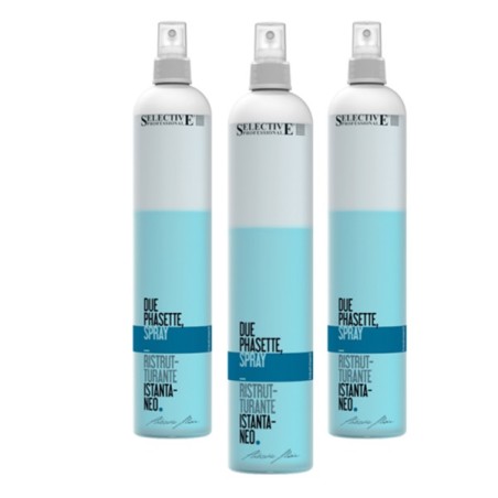 ARTISTIC  DUE PHASETTE 450ml