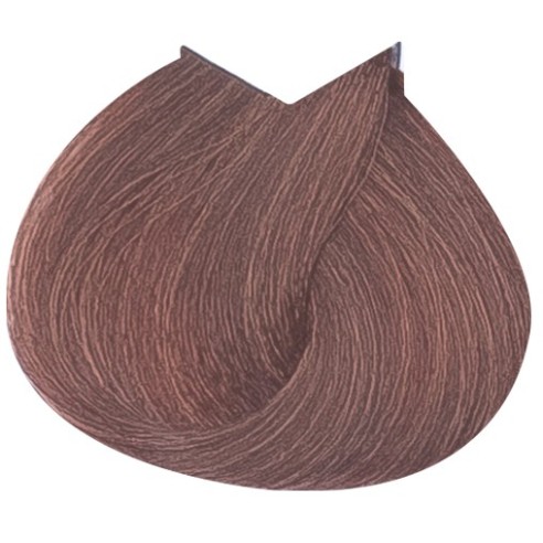 LIFE COLOR 6.4 100 ML