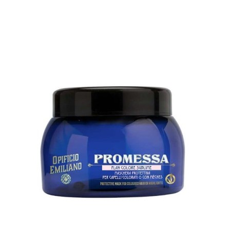PROMESSA COLORE FLAN SUBLIME 220ml.
