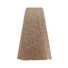 HC. COLOR CREAM 10.0  PLATINUM BLOND 100 ml 2