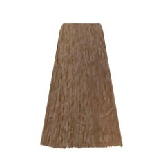 HC. COLOR CREAM 8.00 BIONDO CHIARO INTENSO  100 ml 2