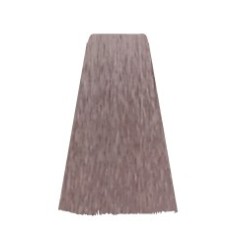 HC. COLOR CREAM 10.1  ASH PLATINUM BLOND 100 ml 2