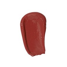 PAESE The Kiss Lips Liquid Lipstick  04 Rusty Red 3 2